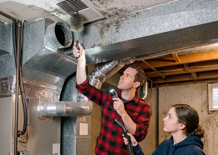 Premier HVAC Mold Remediation Company in Plainfield